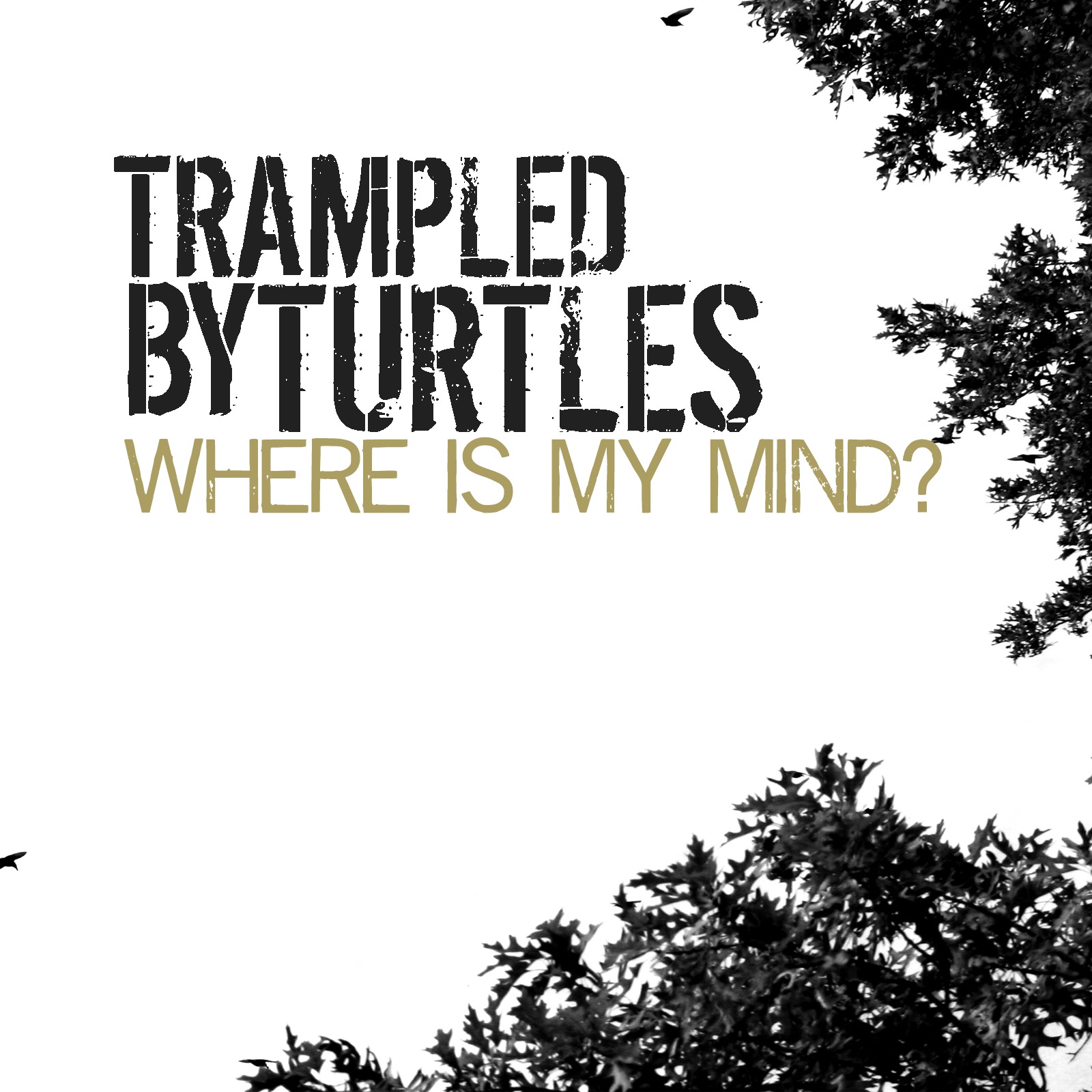 Where Is My Mind (Single)