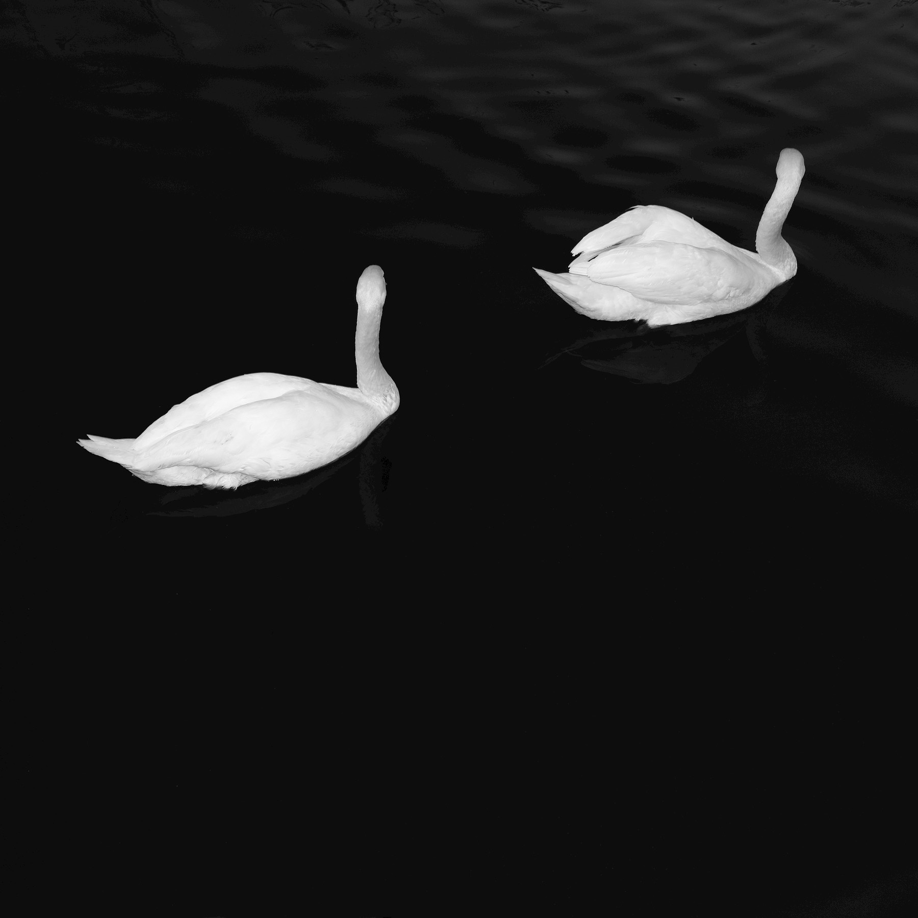 Adore (feat. Ariana Grande) - Cashmere Cat