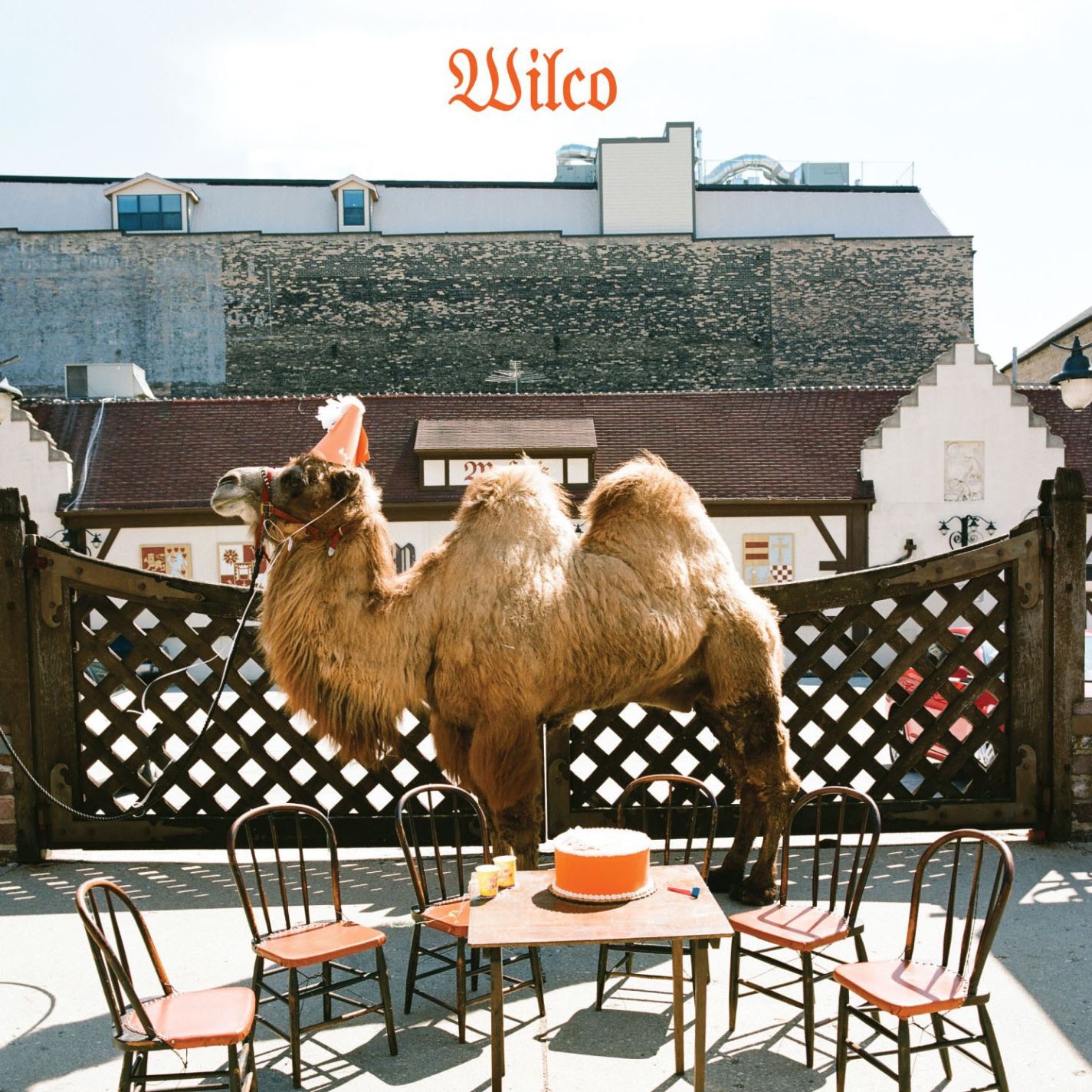 Wilco (the Album)