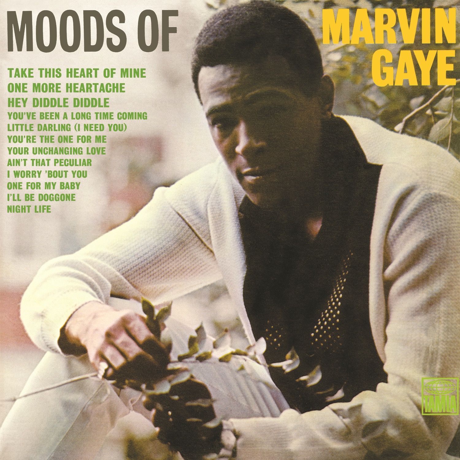 Moods Of Marvin Gaye