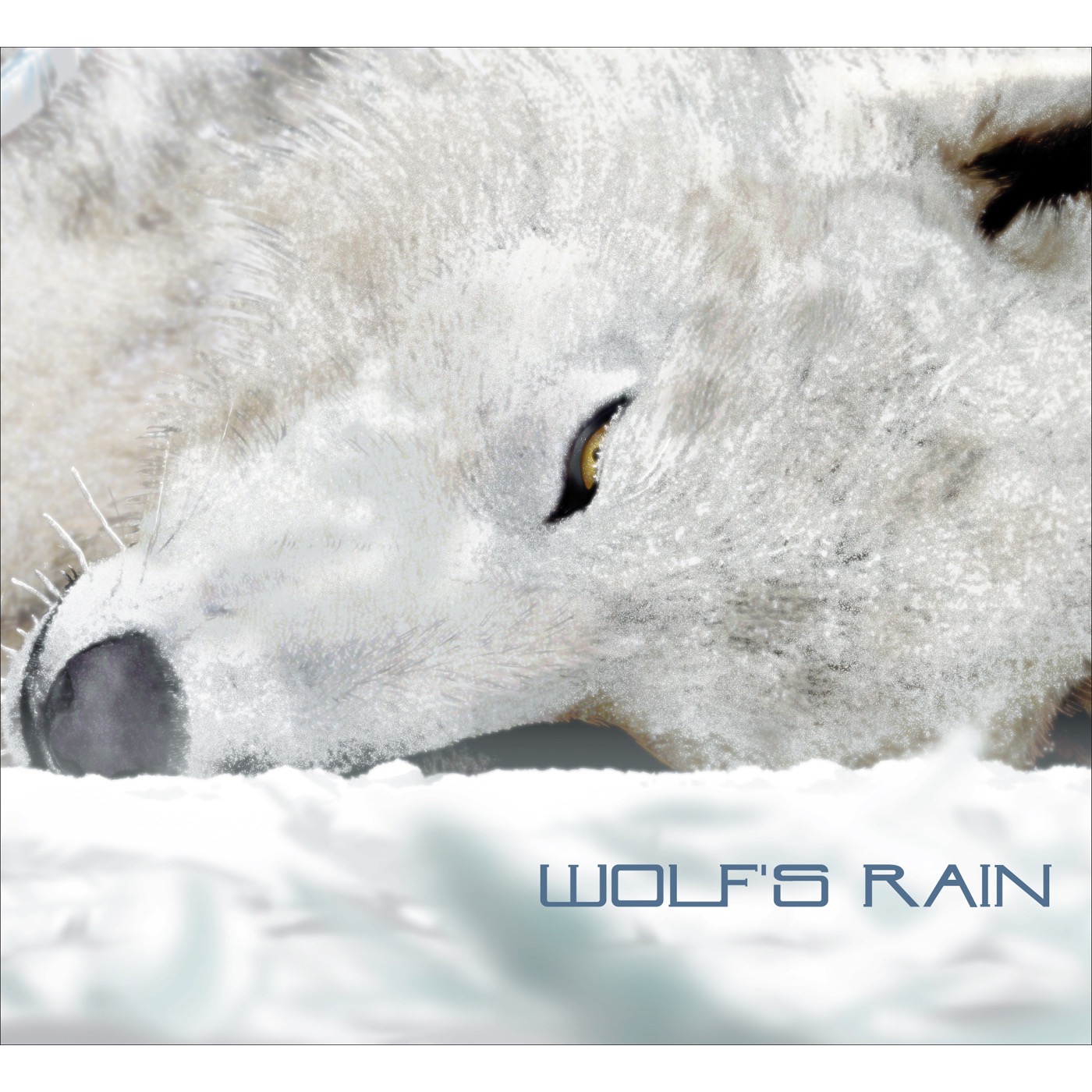 WOLF’S RAIN【K2HD】