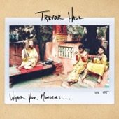 Trevor Hall - Unpack Your Memories... - EP  artwork