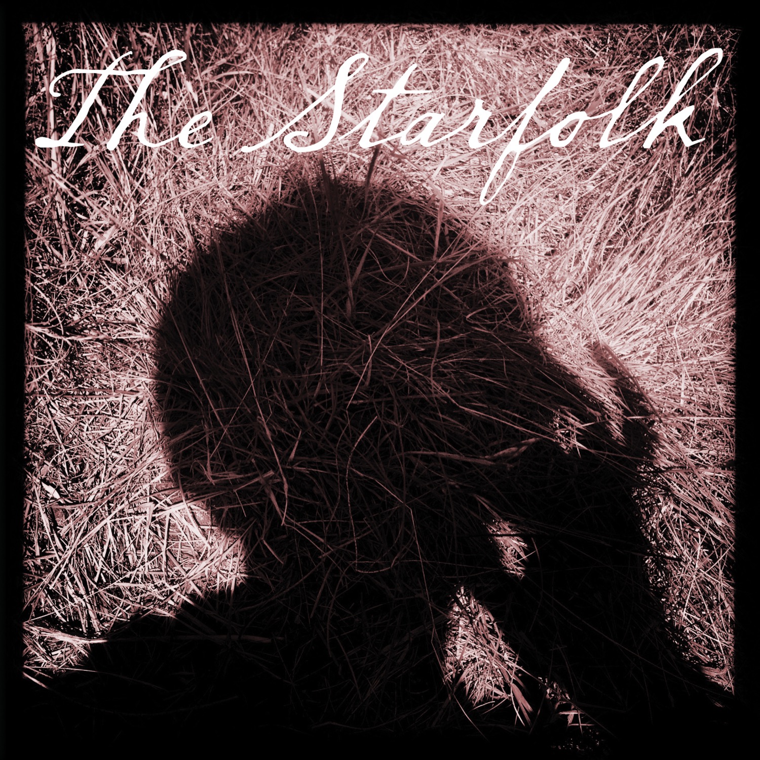 The Starfolk