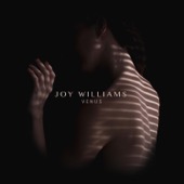 Joy Williams - VENUS  artwork