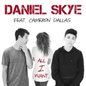 Daniel Skye - All I Want (feat. Cameron Dallas)  artwork