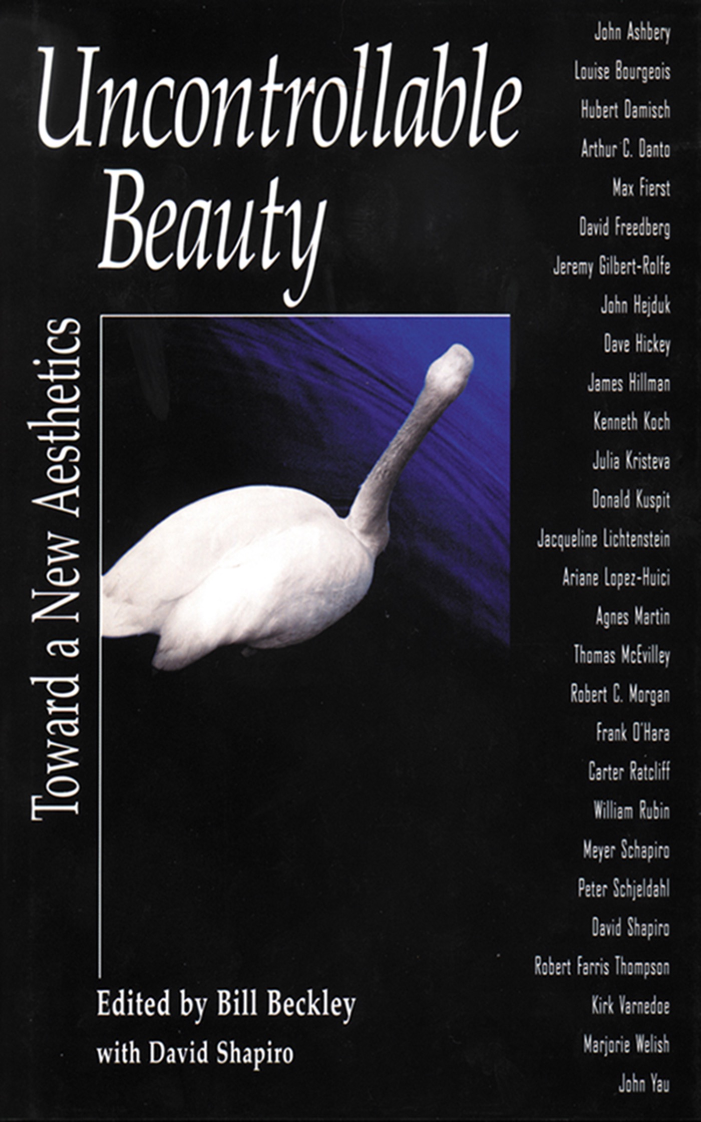 Bill Beckley - Uncontrollable Beauty: Toward a New Aesthetics artwork
