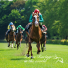 Quantis,Inc. - 競馬 - World Horse Racing アートワーク