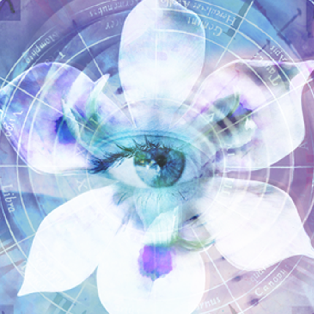 no app image