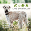 犬の百科辞典 - Li Guo