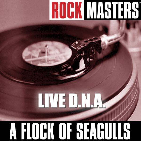 A Flock Of Seagulls Discography Rapidshare