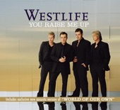 You Raise Me Up - Single