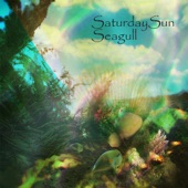 Seagull - Saturday Sun