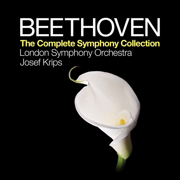 Beethoven symphony collection