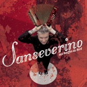 Sanseverino aux Bouffes du Nord