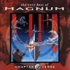 Chapter and Verse - The Very Best of Magnum