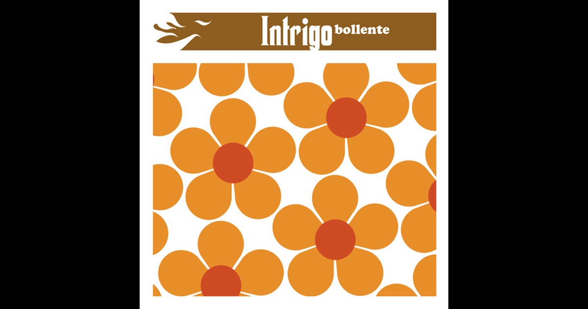 Intrigo - Stand Up Intrigo - Stand Up