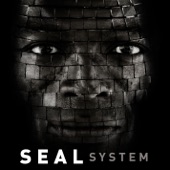 System