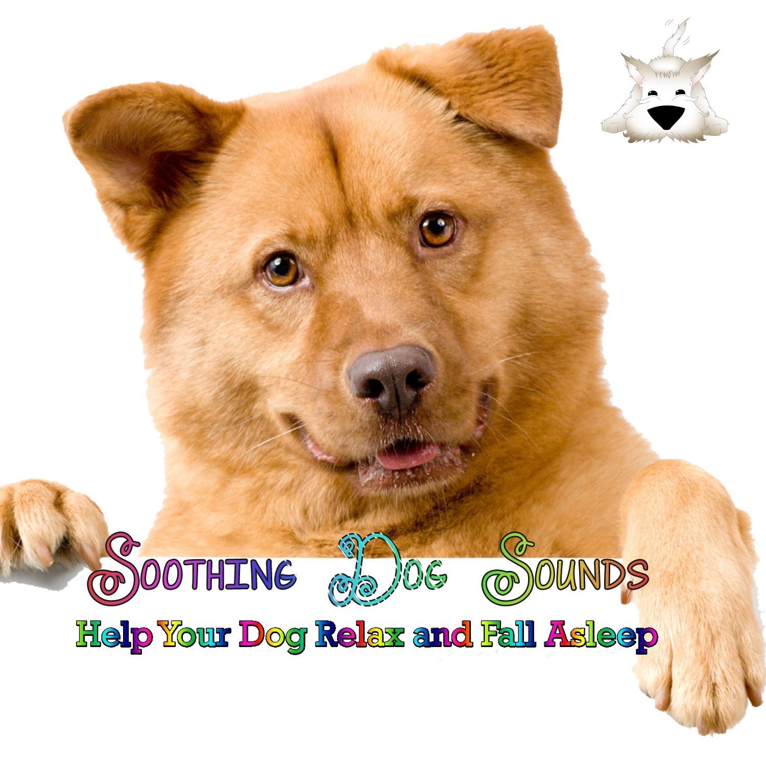soothing sounds for puppies 1500x1500sr jpg soothing sounds for puppies 1500x1500sr jpg