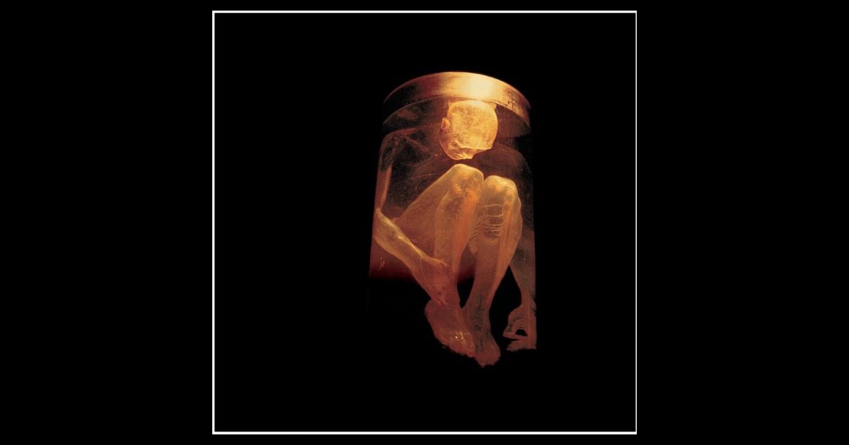 Alice In Chains The Best Of The Box