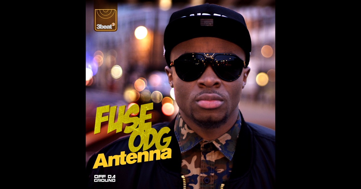 Antenna By Fuse Odg