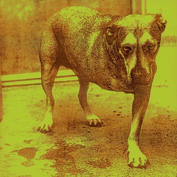 Alice In Chains Alice In Chains Album Cover