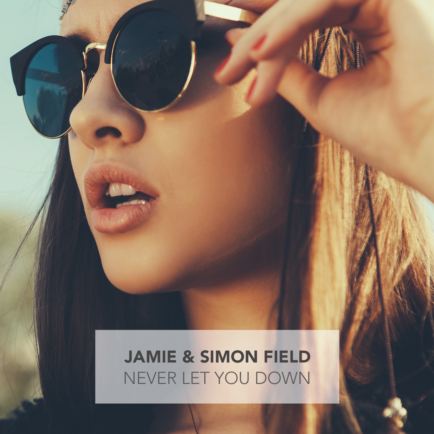 „Never Let You Down - Single“ von Jamie & Simon Field in iTunes