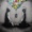 Tired (feat. Gavin James)