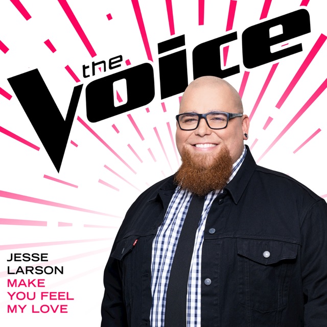 Make You Feel My Love (The Voice Performance) - Single Album Cover
