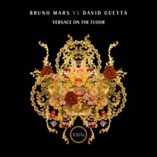 Versace On The Floor artwork