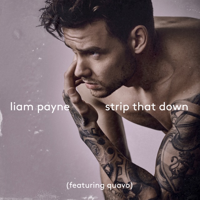 Liam Payne Strip That Down (feat. Quavo) - Single Album Cover
