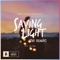 Saving Light (The Remixes) [feat. HALIENE] - EP