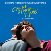 Various Artists - Call Me By Your Name (Original Motion Picture Soundtrack)  artwork