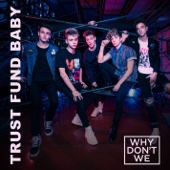 Why Don't We - Trust Fund Baby  artwork