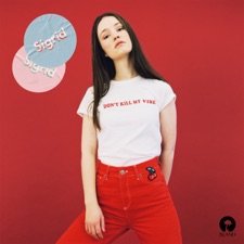 Don't Kill My Vibe artwork