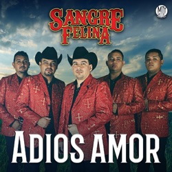 Sangre Felina - Adiós Amor
