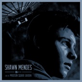 Shawn Mendes - Live at Madison Square Garden  artwork