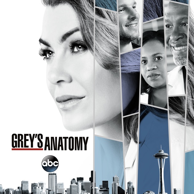 greys anatomy 15 temporada online gratis