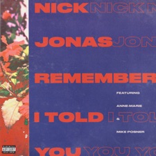Remember I Told You artwork