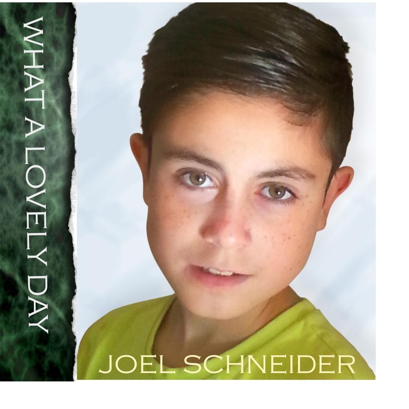 „What a Lovely Day - Single“ von Joel Schneider in iTunes