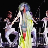 Vulnicura Strings (The Acoustic Version: Strings, Voice and Viola Organista Only)