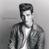 Zach Seabaugh - Zach Seabaugh - EP  artwork