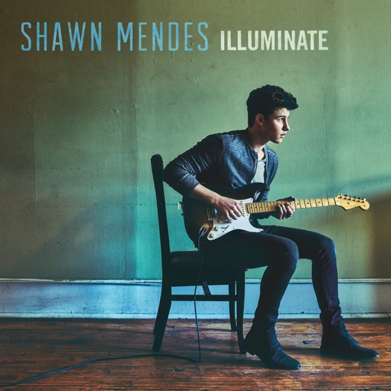 Shawn Mendes - Mercy (Acoustic) Chords Lyrics with Strumming Pattern for Guitar Ukulele Piano Keyboard plus Capo version