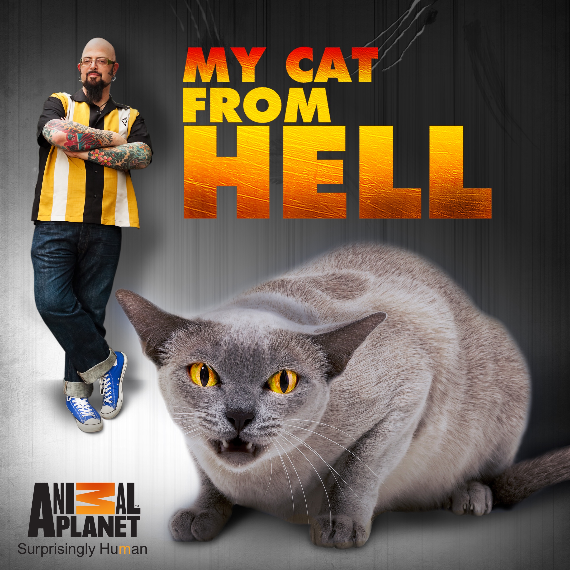 My Cat From Hell, Season 5 on iTunes