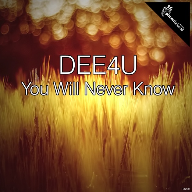Песня скачать you will never know