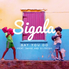 Say You Do artwork