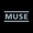 Muscle Museum