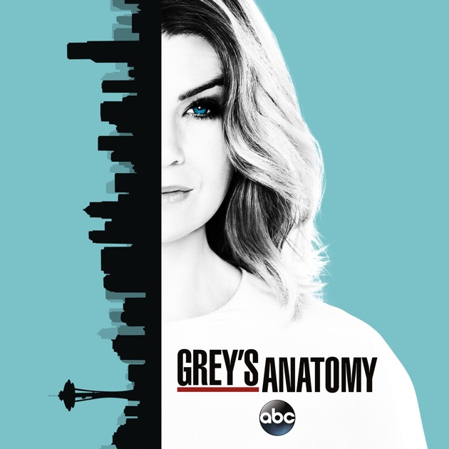 Grey`S Anatomy Season 10 Utorrent