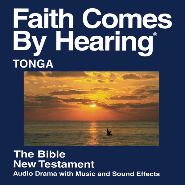 Chitonga Bible
