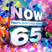 Various Artists - NOW That's What I Call Music, Vol. 65  artwork