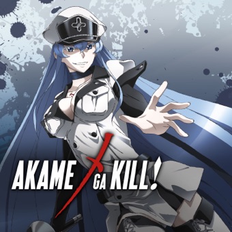 Akame ga Kill, Collection 2 (English Dubbed Version)